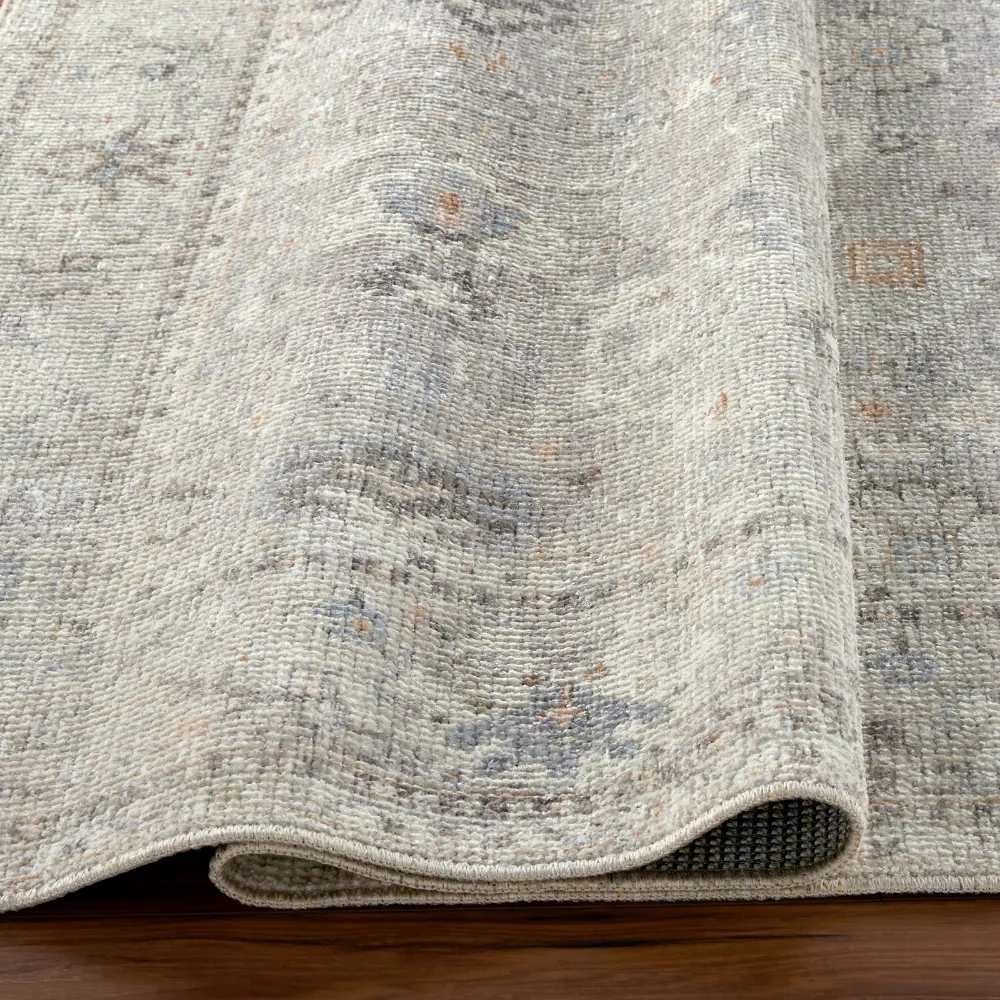 Davina Becki Owens X Livabliss Vintage Oriental Boho Light Grey Rug - Image 8