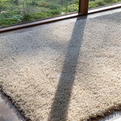 Ray Soft Desert 158601 Rug