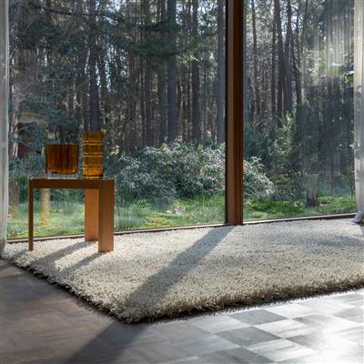Ray Soft Desert 158601 Rug - Image 2