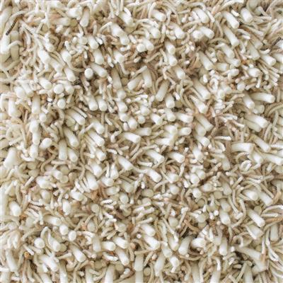 Ray Soft Desert 158601 Rug - Image 3