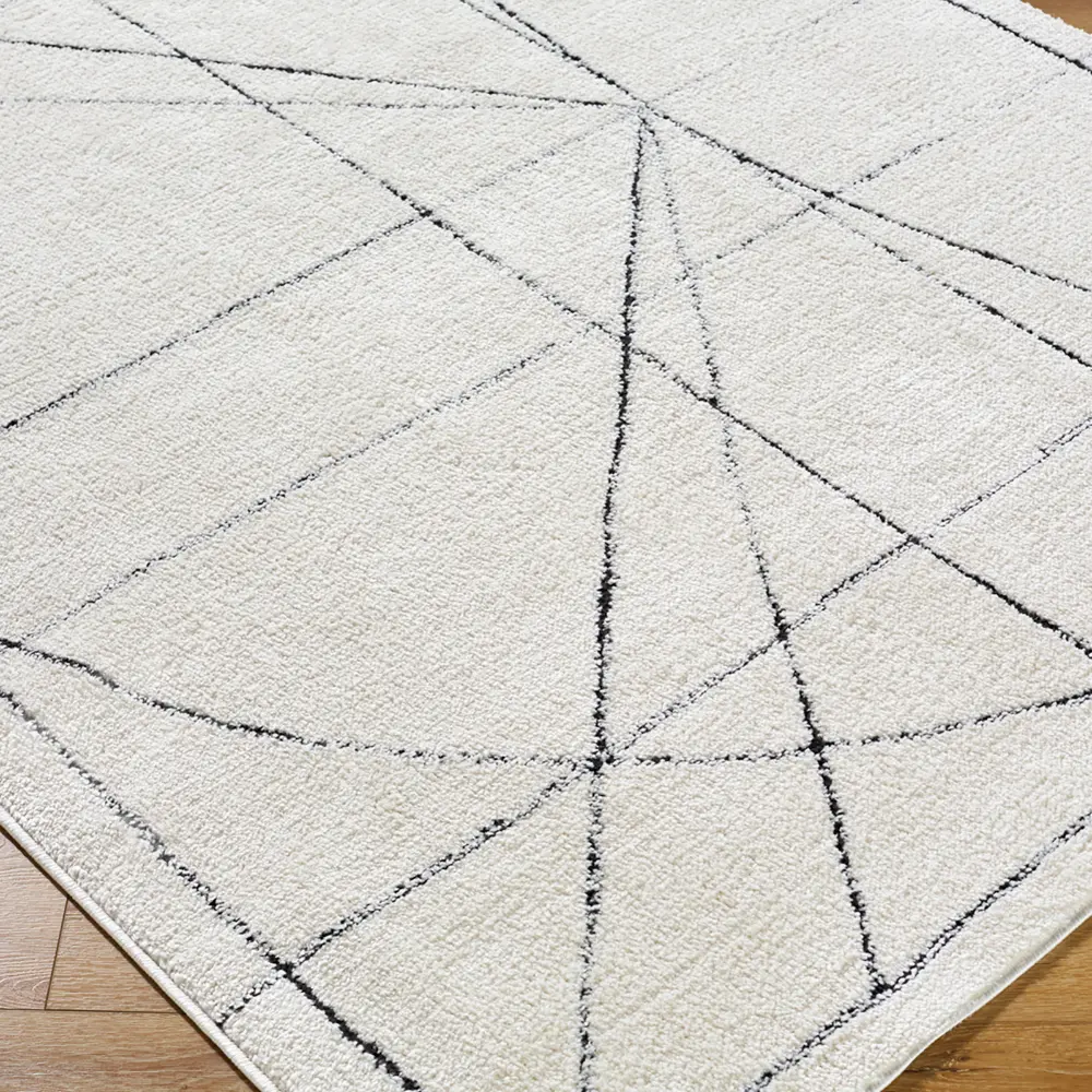 Architect V Galey Alix X Livabliss Modern Scandi High Pile Black/Ivory Rug - Image 5