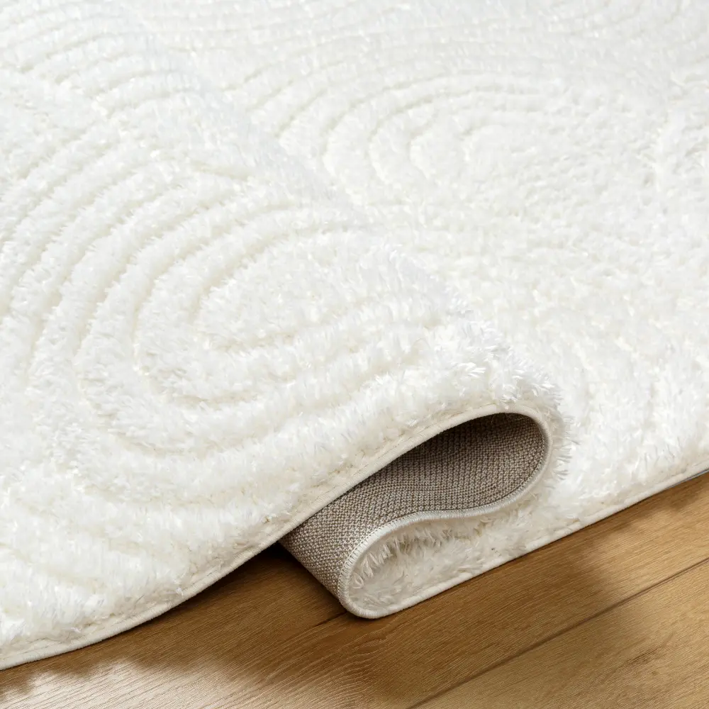 Runa Shaggy Modern Plush Pile Light Beige/Ivory Rug - Image 2