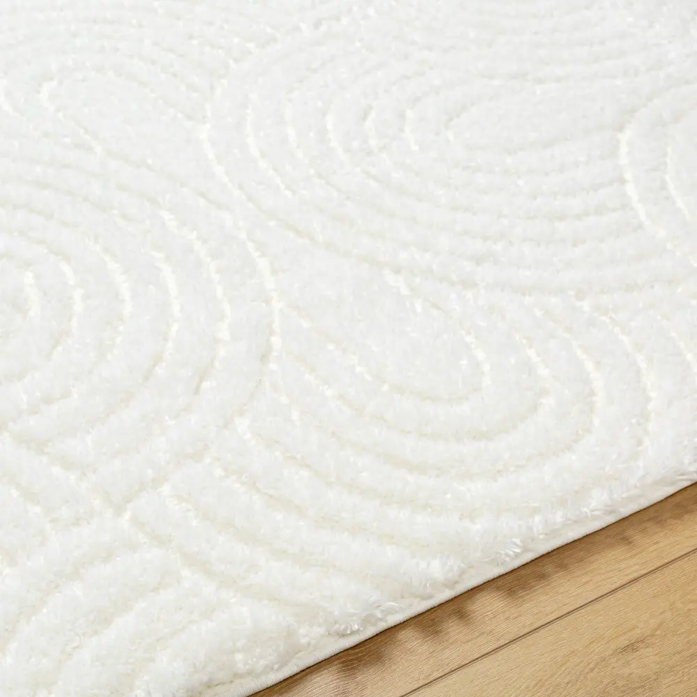 Runa Shaggy Modern Plush Pile Light Beige/Ivory Rug - Image 3