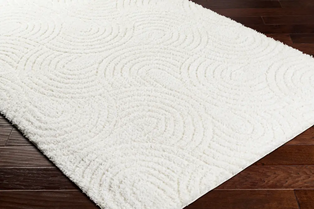 Runa Shaggy Modern Plush Pile Light Beige/Ivory Rug - Image 5