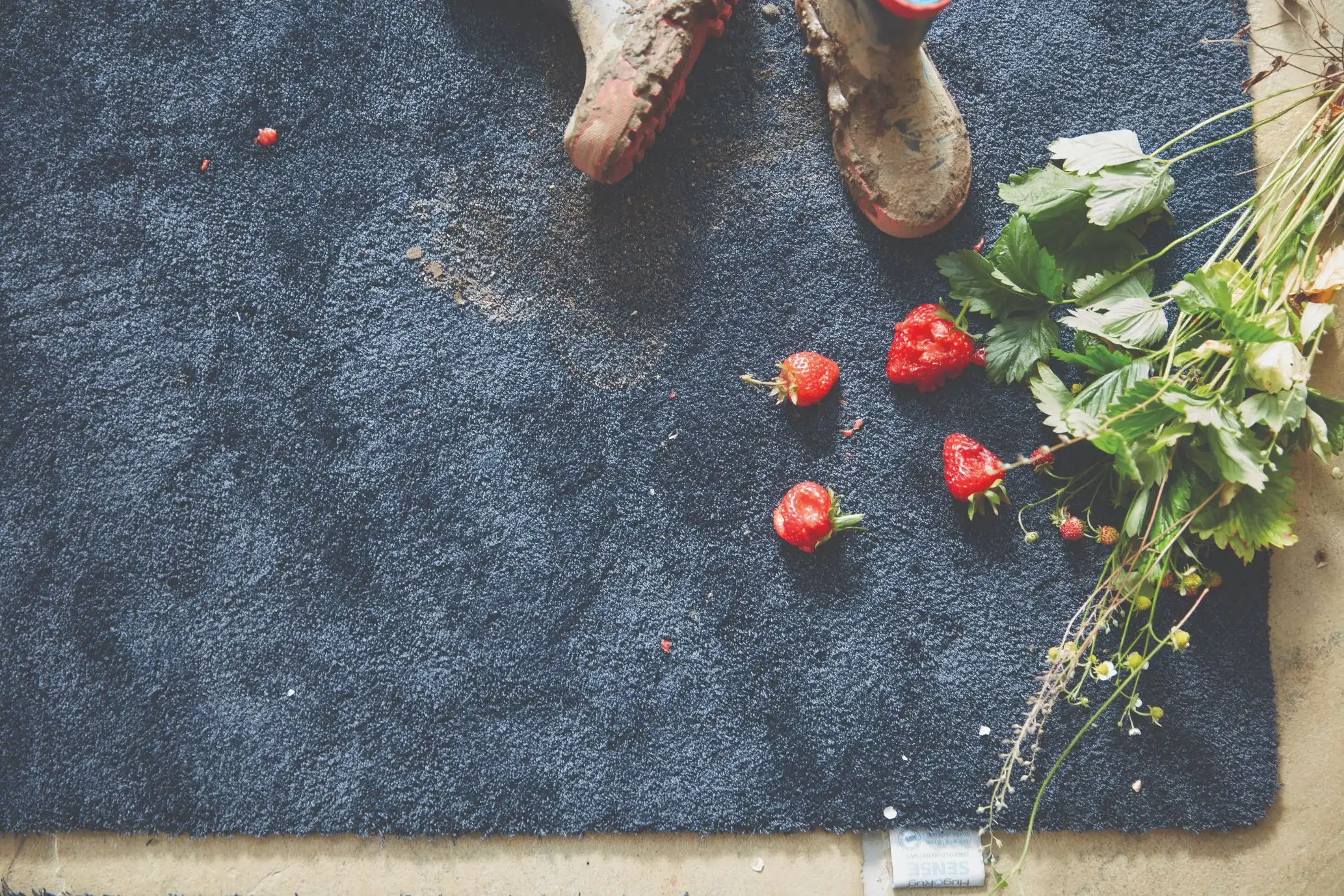 Sense washable French Navy Rug - Image 2