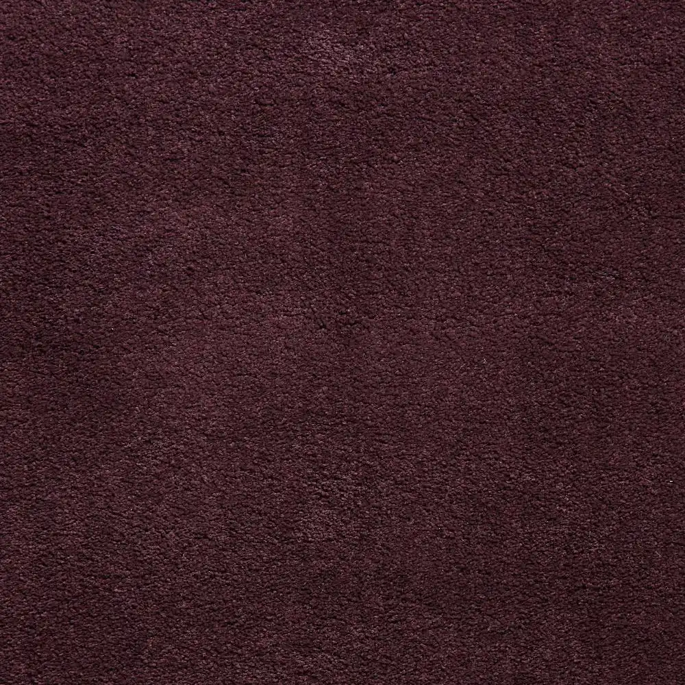 Sierra 9000 Purple Rug - Image 7