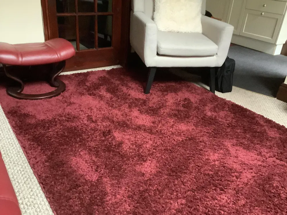 Sierra 9000 Ruby Rug - Image 3