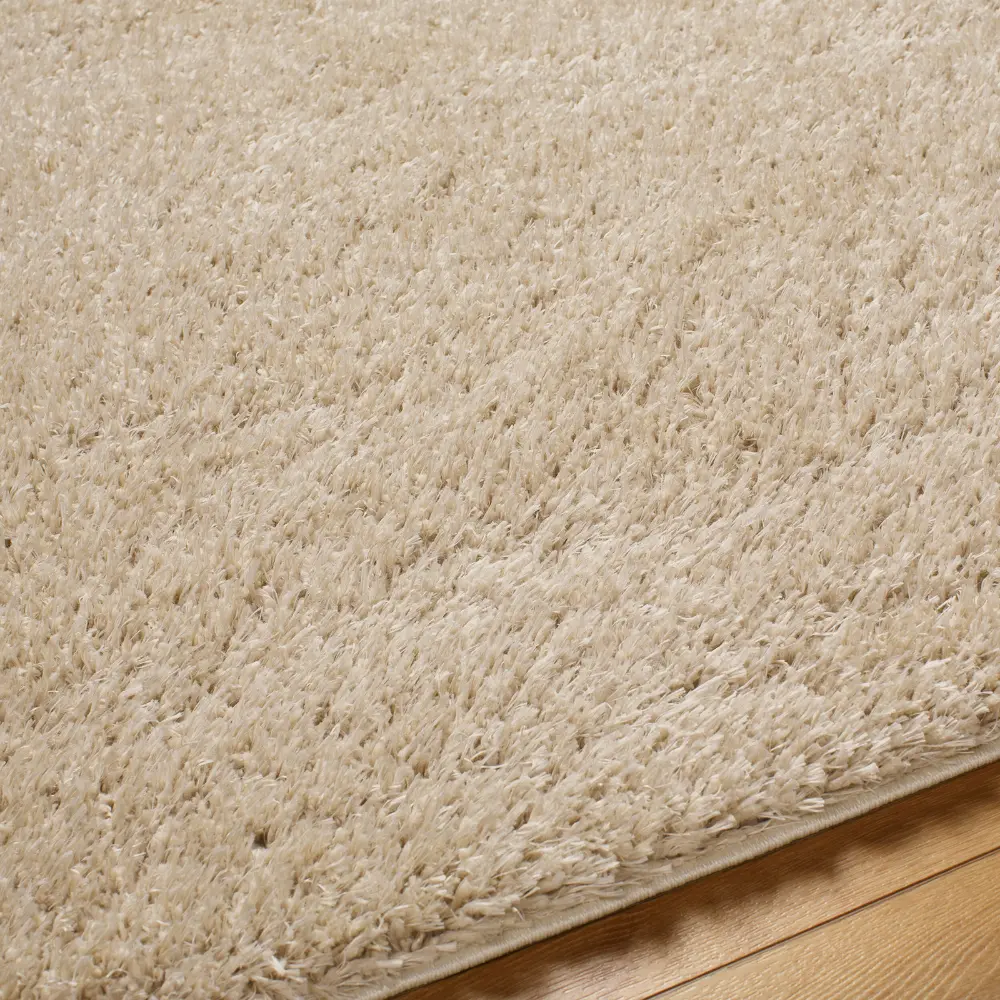 Soso Shaggy Solid Color Plush Pile Beige Rug - Image 2