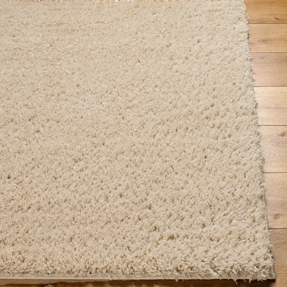 Soso Shaggy Solid Color Plush Pile Beige Rug - Image 6