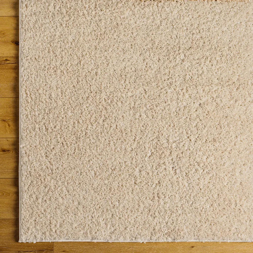 Soso Shaggy Solid Color Plush Pile Beige Rug - Image 7