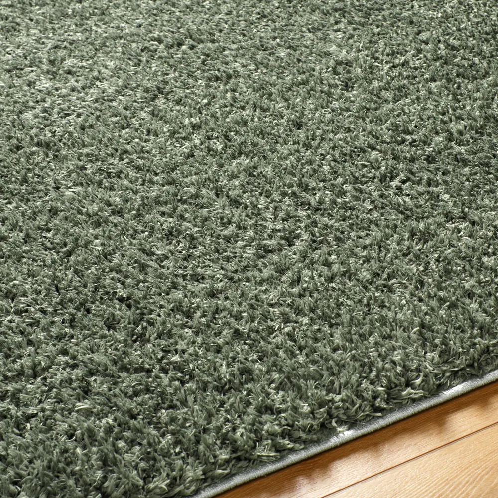 Soso Shaggy Solid Color Plush Pile Green Rug - Image 4