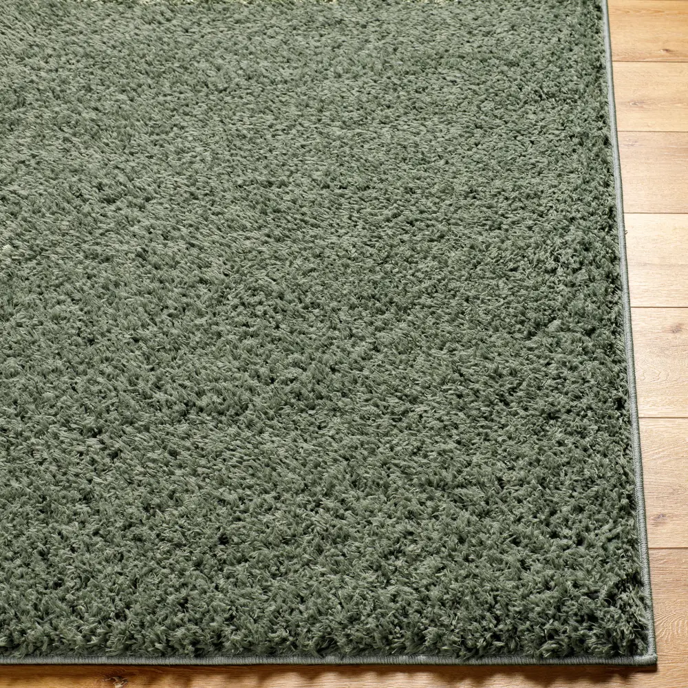 Soso Shaggy Solid Color Plush Pile Green Rug - Image 9