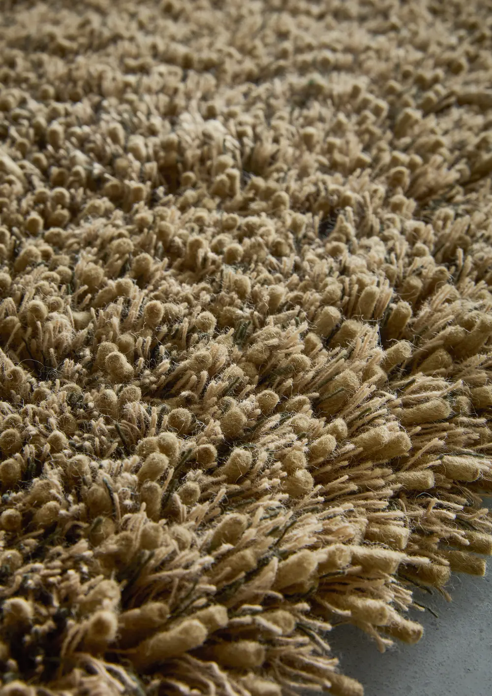 Sprout Dusty Ground - Image 7