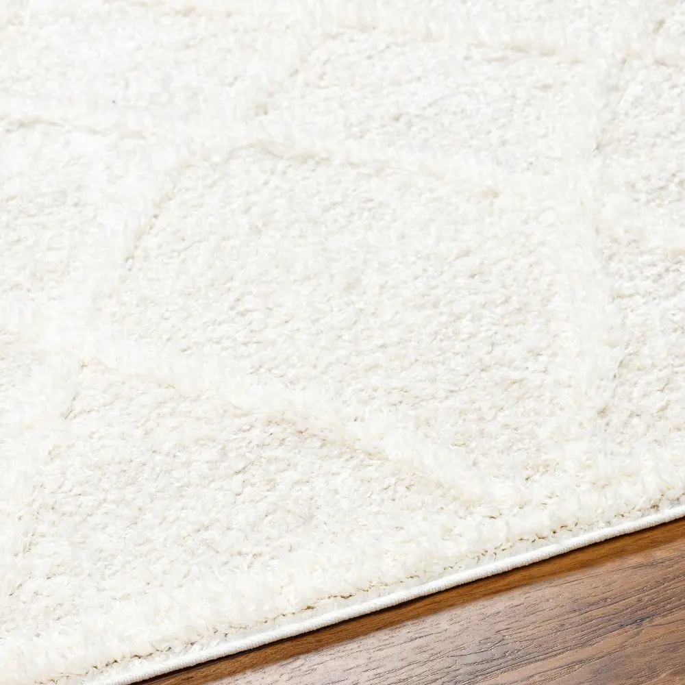 Sumaya Shaggy Modern Plush Pile Cream Rug - Image 4