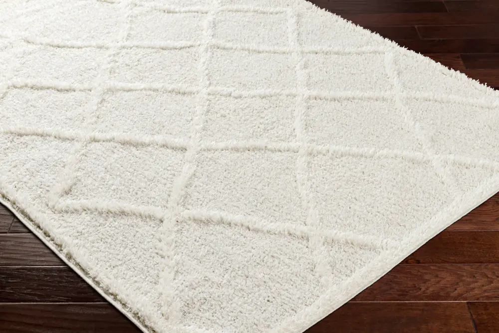 Sumaya Shaggy Modern Plush Pile Cream Rug - Image 6