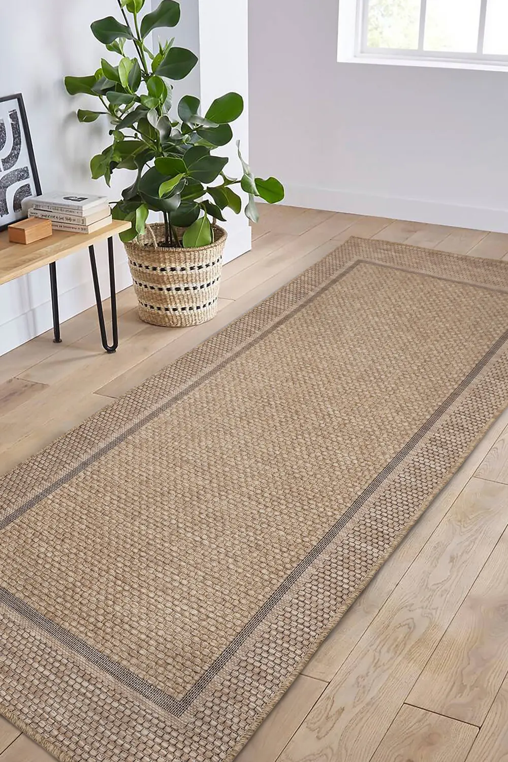 SUMMER BORDER - Image 15