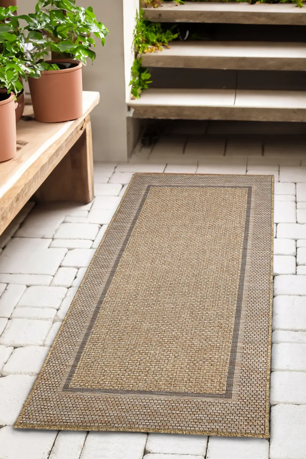 SUMMER BORDER - Image 3