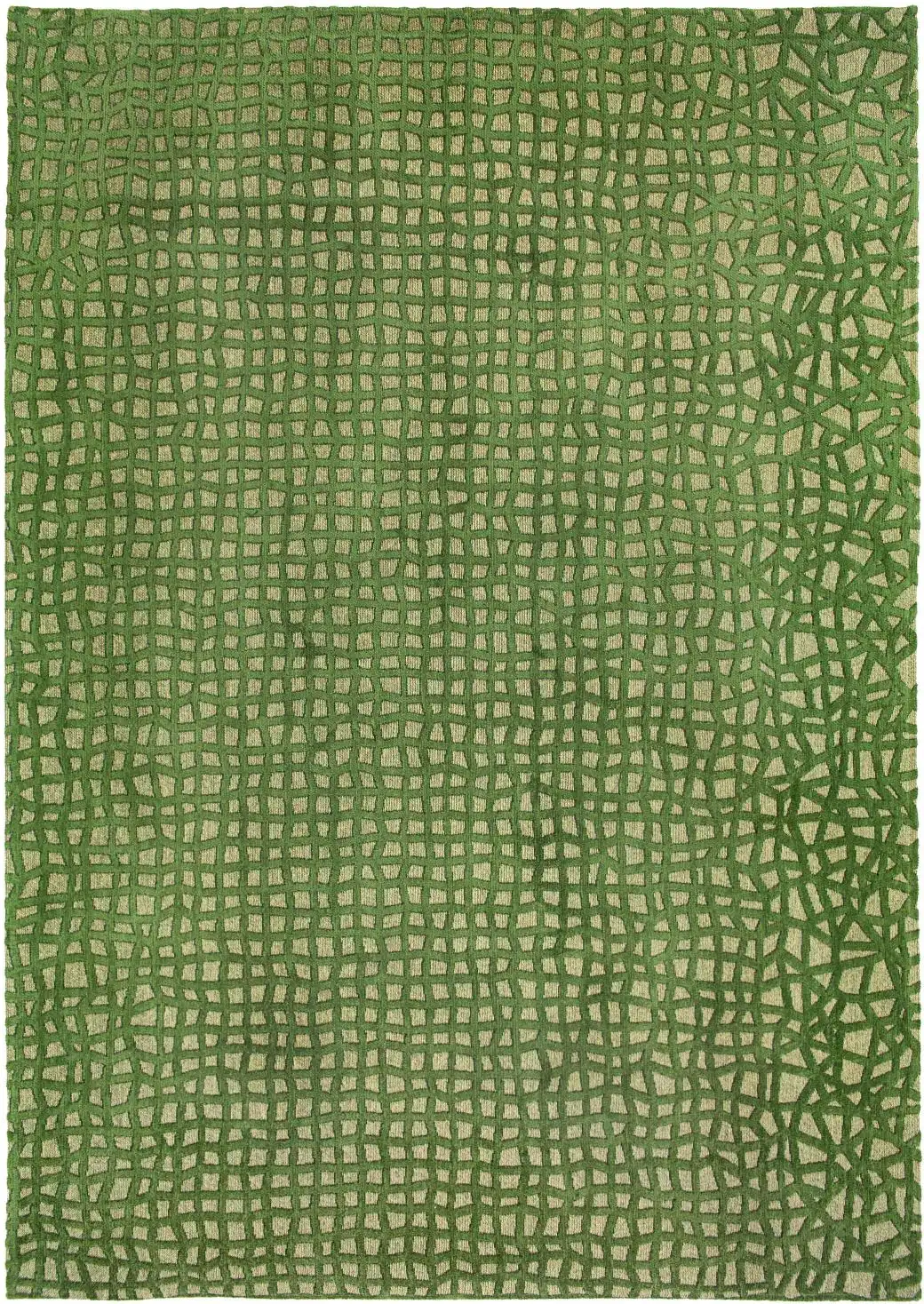 Trammel Structures 9249 Alta Green Rug - Image 2