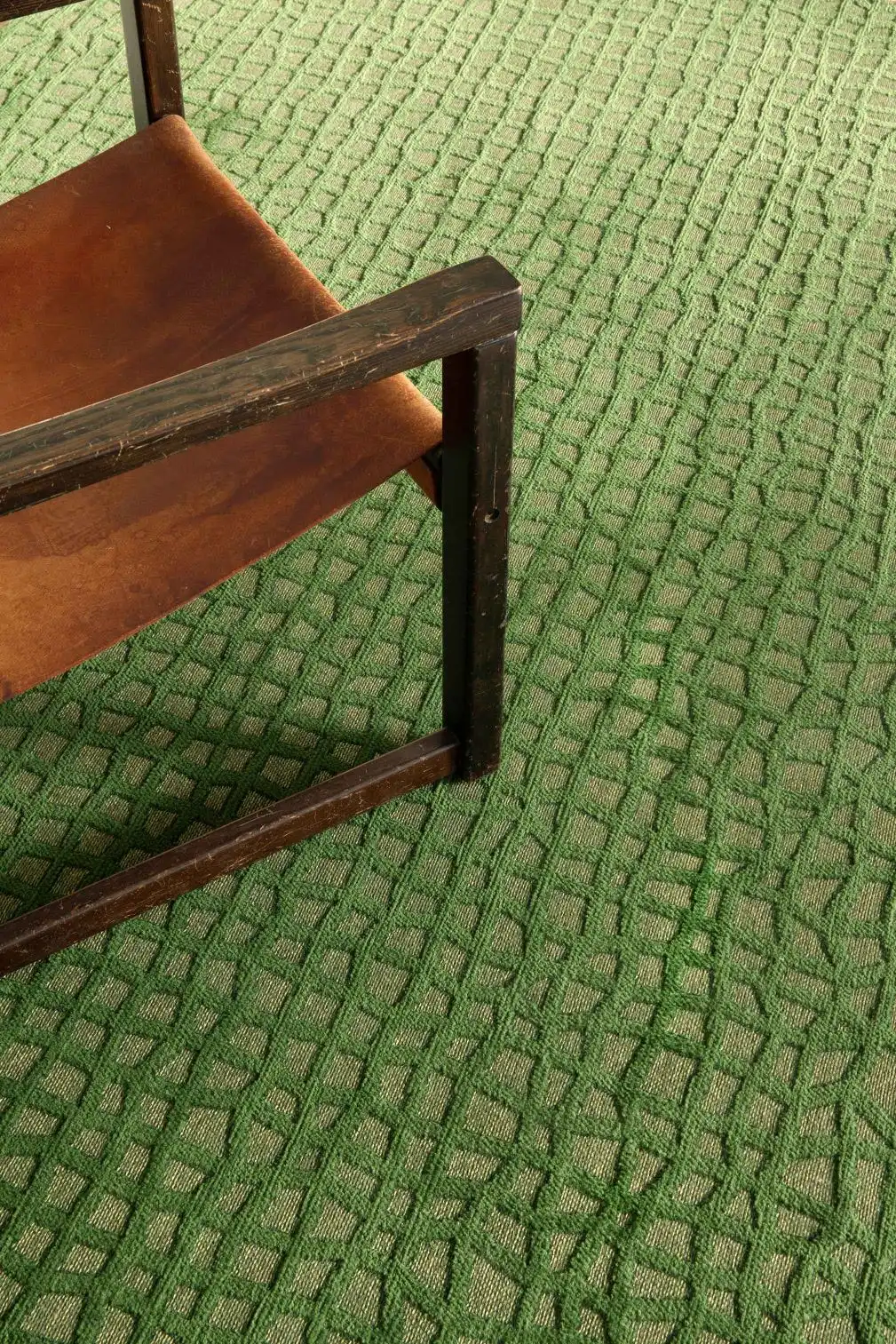 Trammel Structures 9249 Alta Green Rug - Image 4