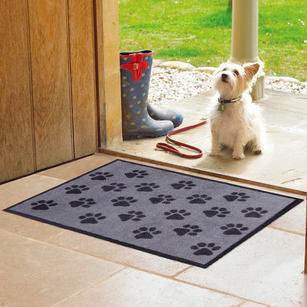 Turtle Designs Small Paws Grey Rug
