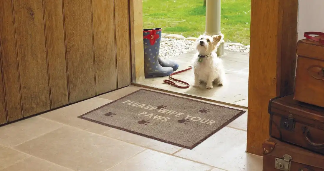 Turtle Designs Wipe Your Paws Brown Rug - Image 2