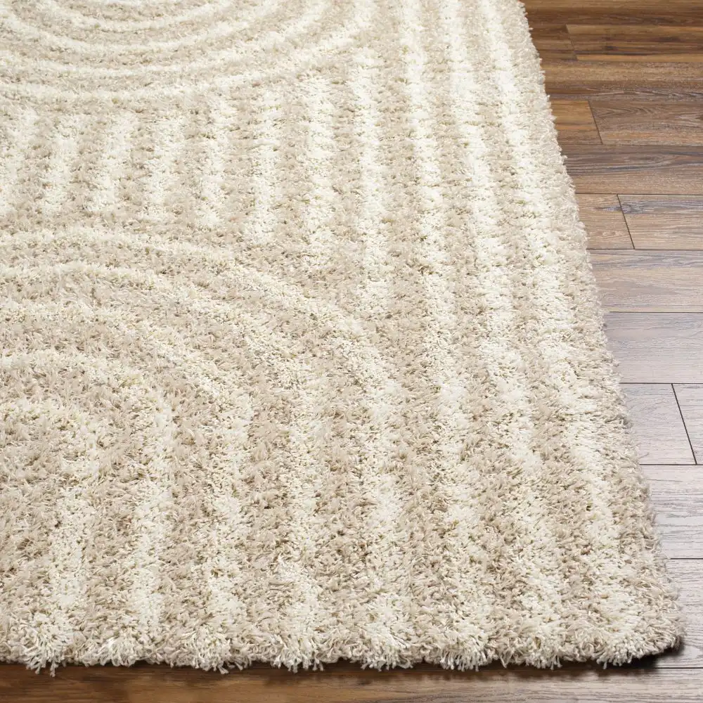 Christina Shaggy Modern Plush Pile Beige Rug - Image 2