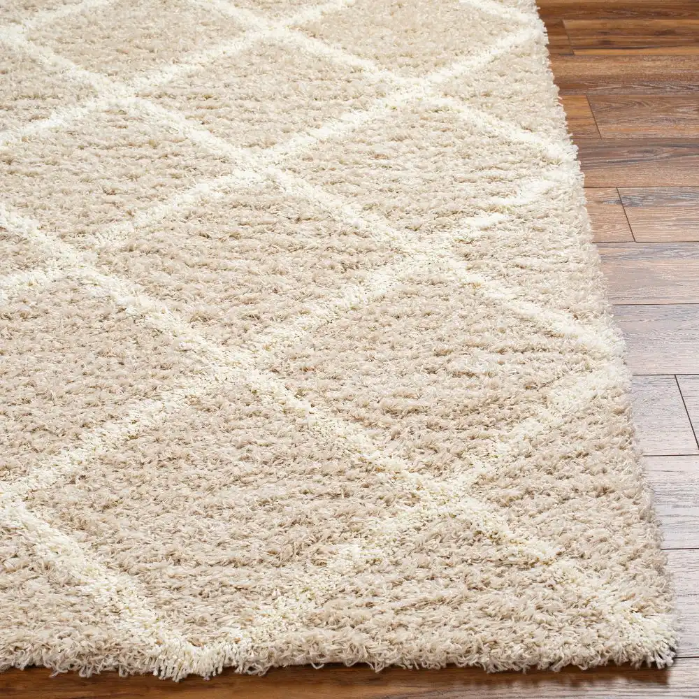 Jane Shaggy Cottage Plush Pile Beige Rug - Image 2