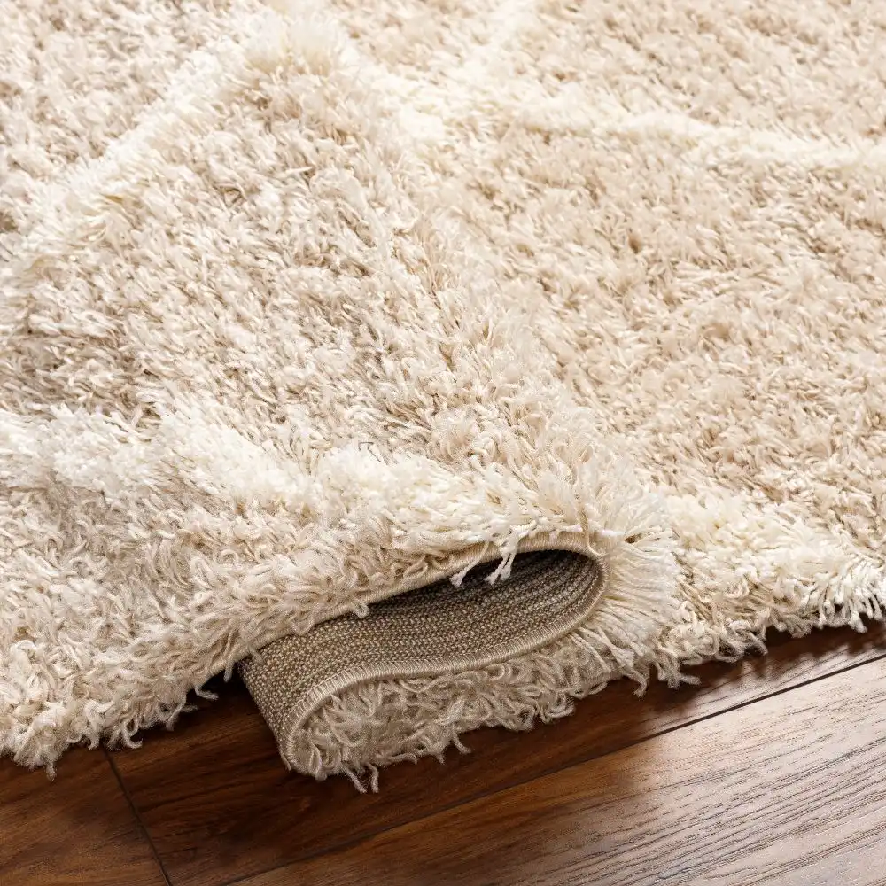 Jane Shaggy Cottage Plush Pile Beige Rug - Image 3