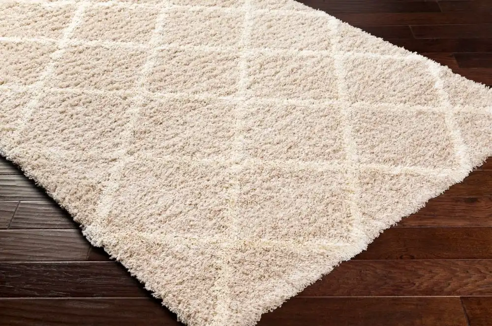 Jane Shaggy Cottage Plush Pile Beige Rug - Image 4