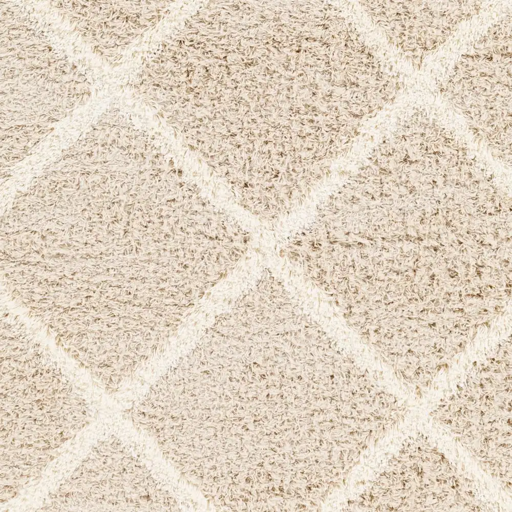 Jane Shaggy Cottage Plush Pile Beige Rug - Image 6