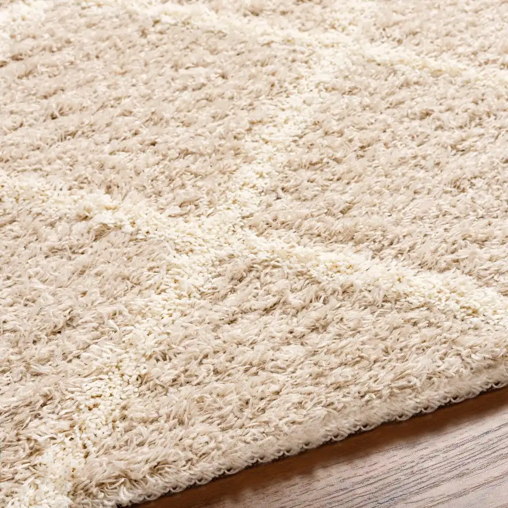 Jane Shaggy Cottage Plush Pile Beige Rug - Image 7