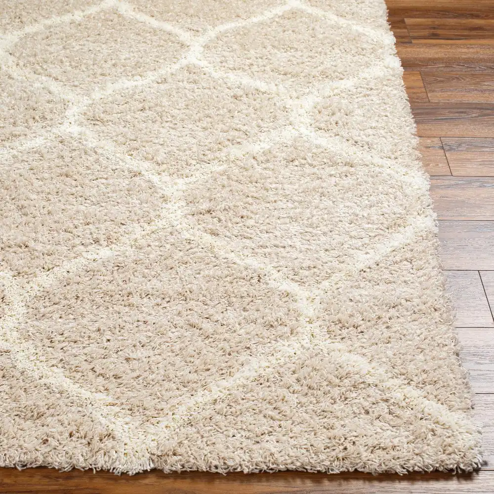 Judy Shaggy Cottage Plush Pile Beige Rug - Image 2
