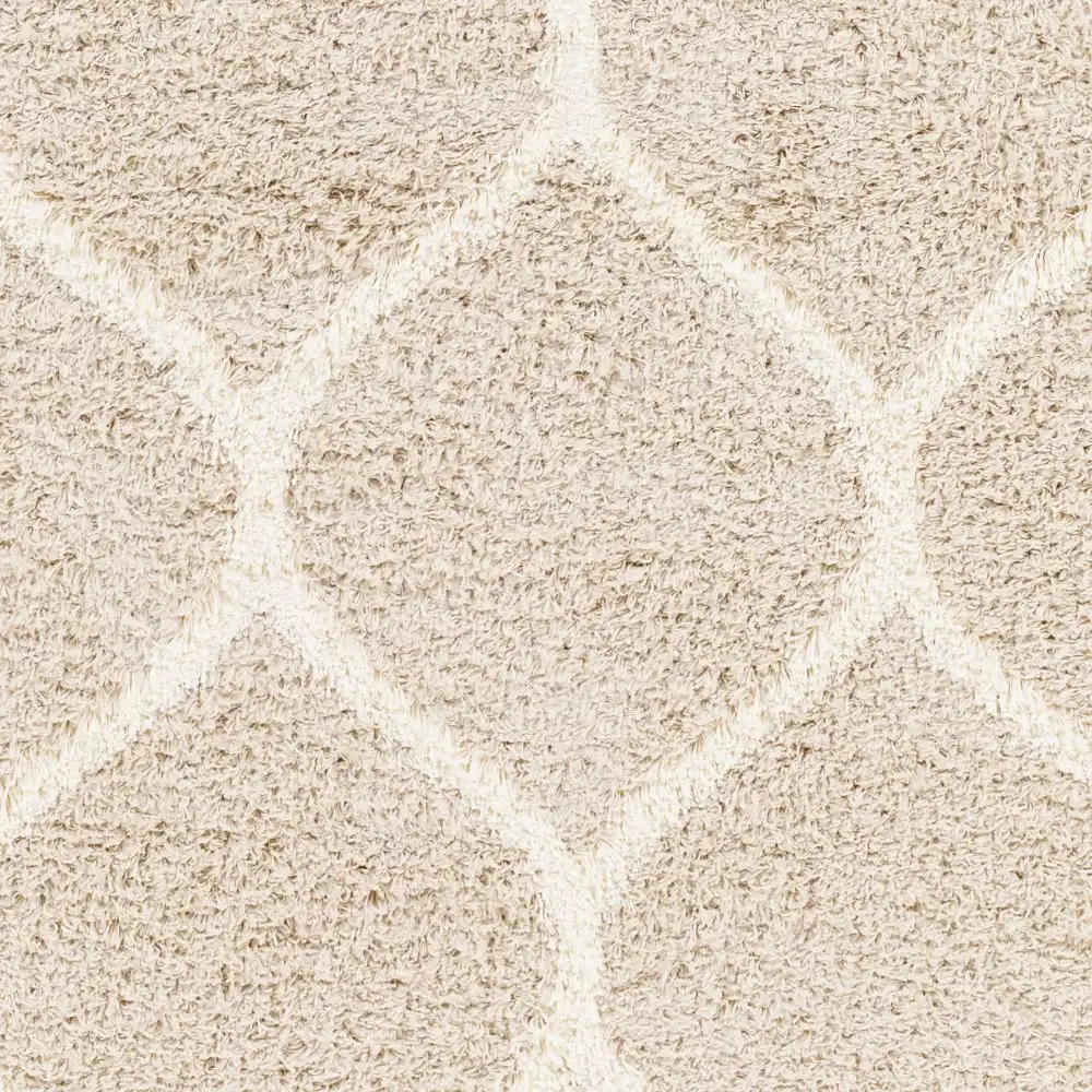 Judy Shaggy Cottage Plush Pile Beige Rug - Image 6