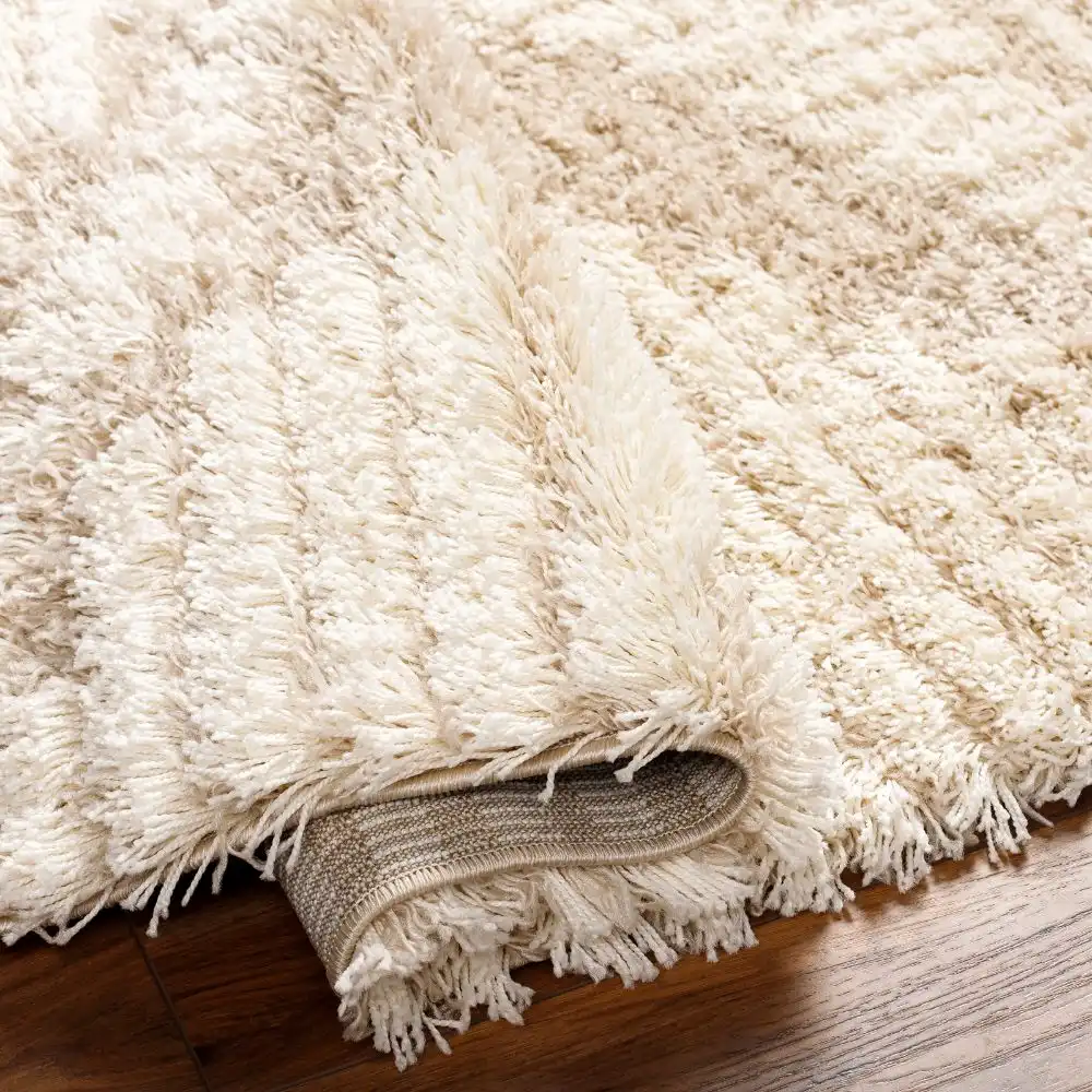Nuria Shaggy Modern Plush Pile Light Beige Rug - Image 5