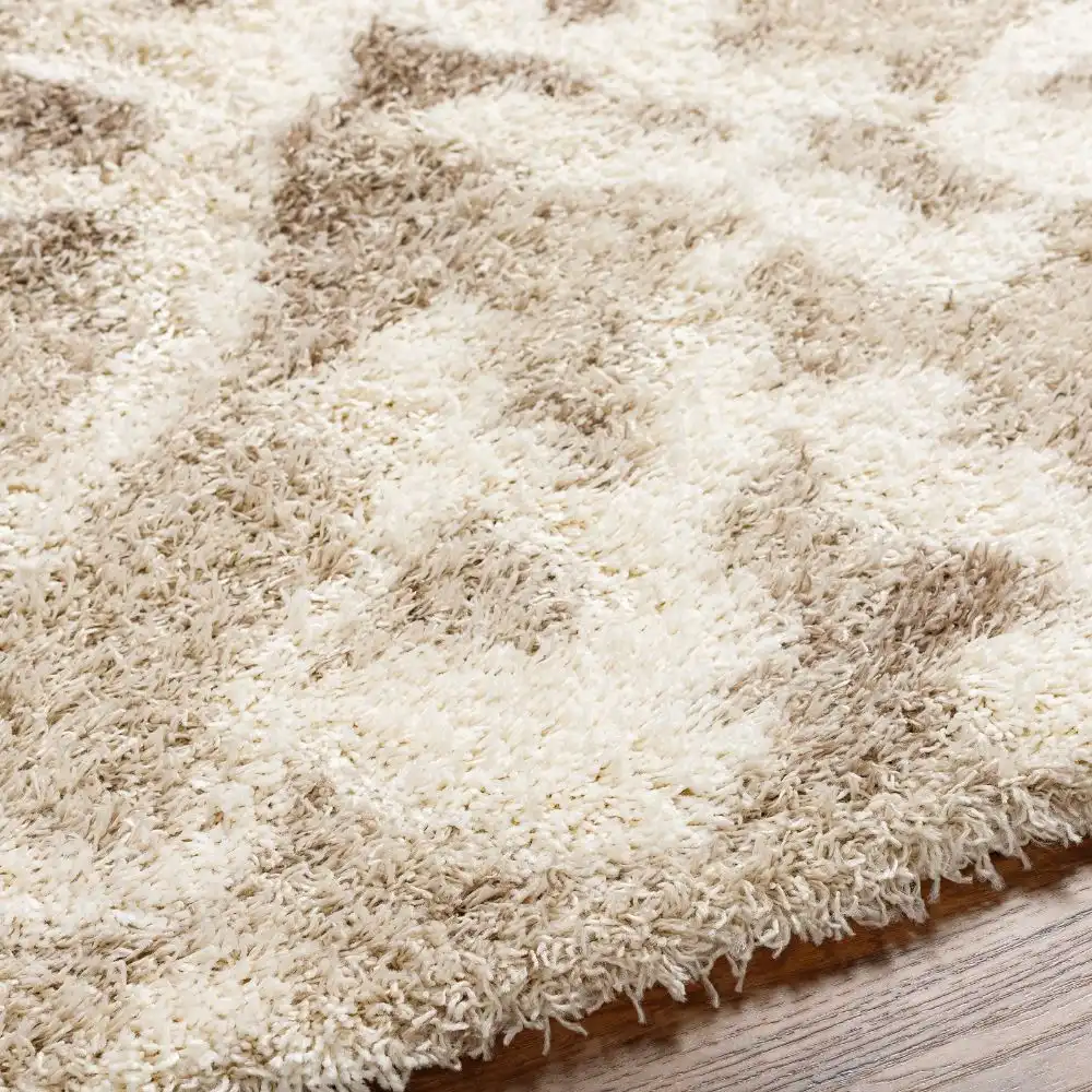 Paula Shaggy Modern Plush Pile Beige Rug - Image 7