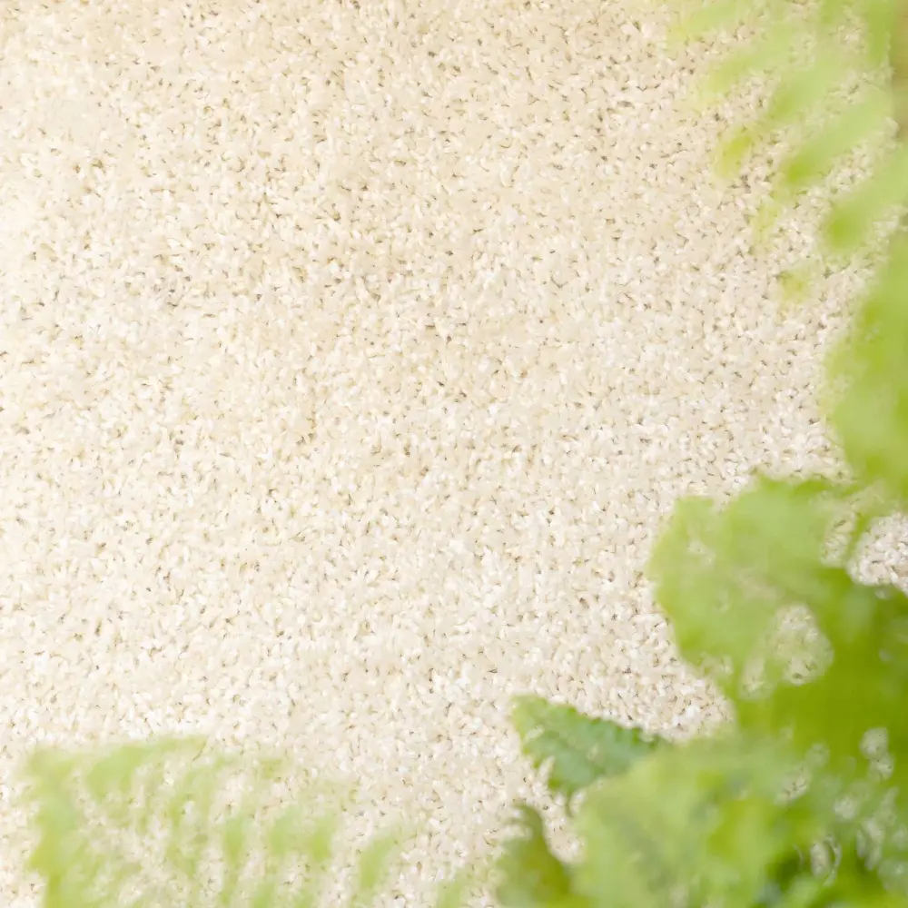 Nore Cream - Image 6