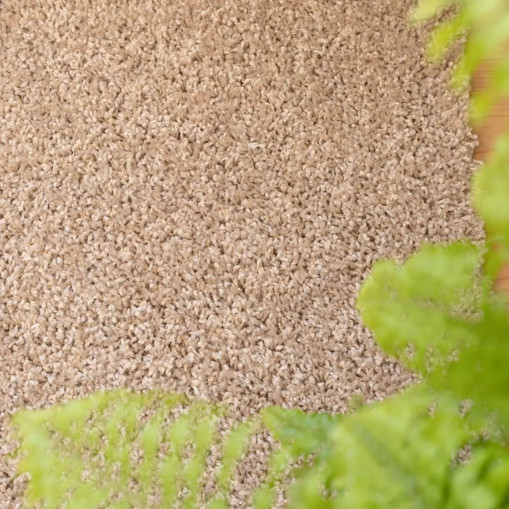 Nore  Oatmeal - Image 6