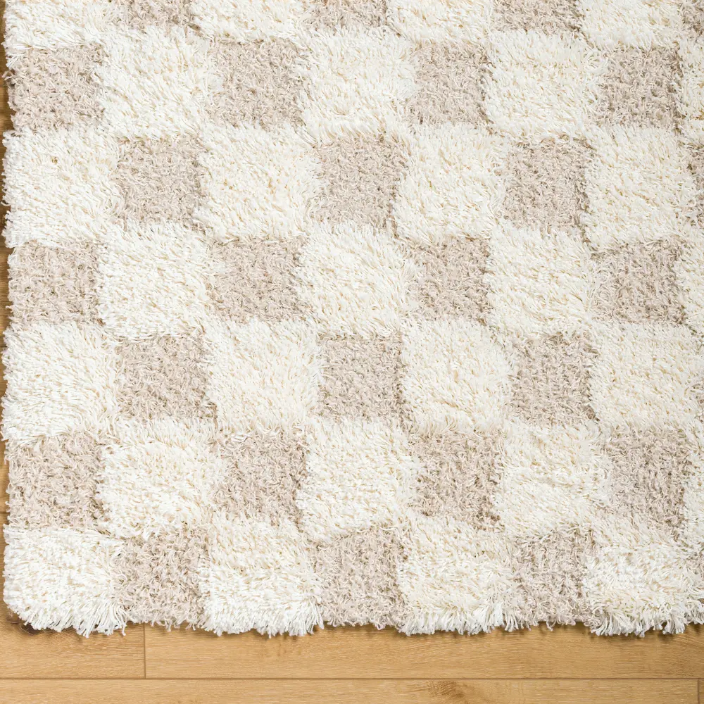 Willa Shaggy Modern Plush Pile Light Beige Checkered Rug - Image 7