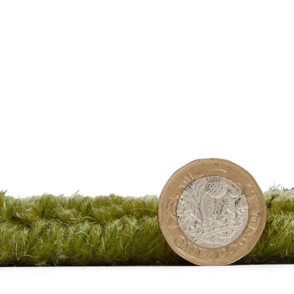 Windsor Wool Border Green - Image 8